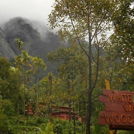 White Water Woods Resort Vythiri Exteriör bild